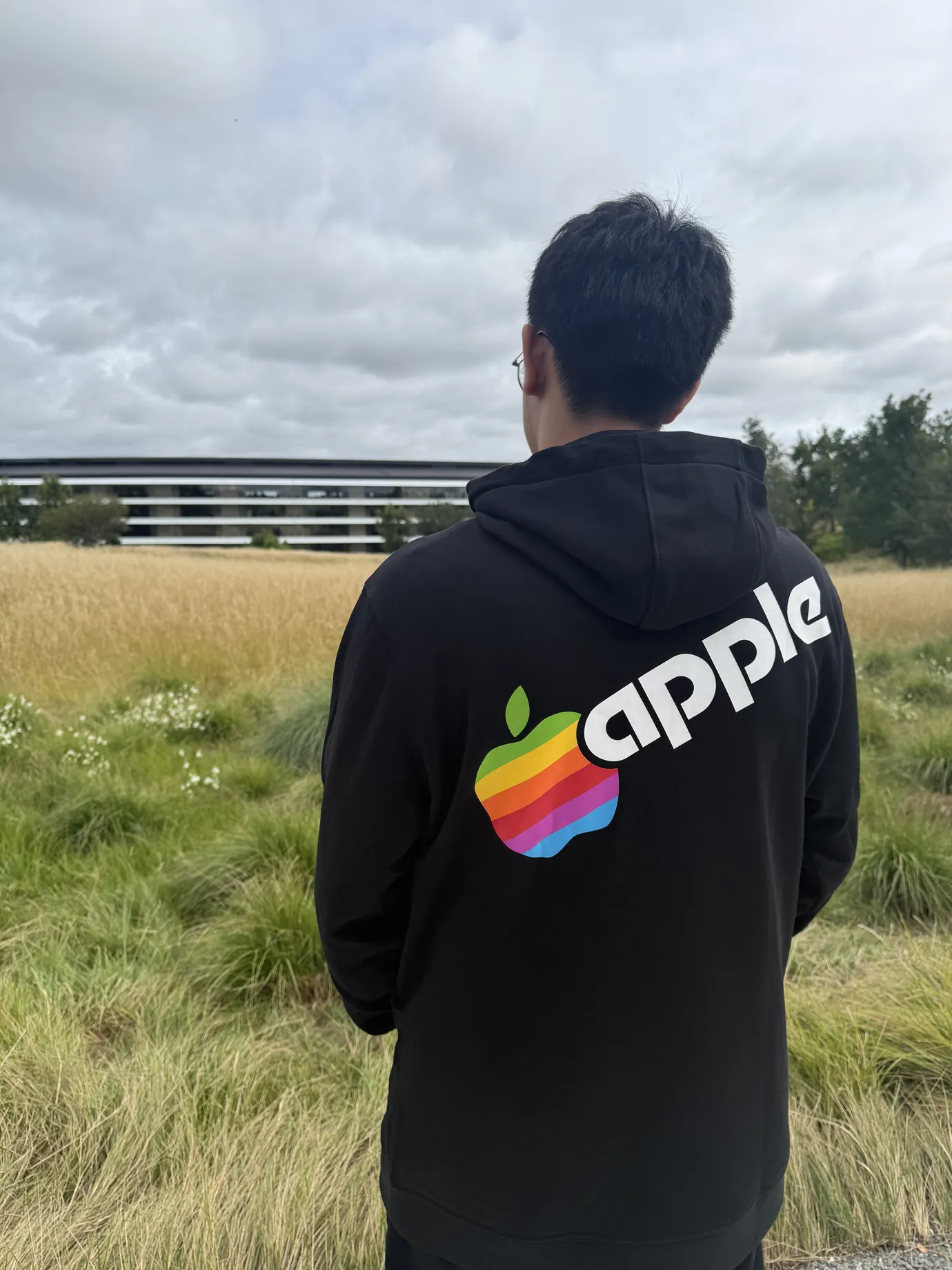 Jean in a retro Apple hoodie looking across the meadow at the Apple Park ring